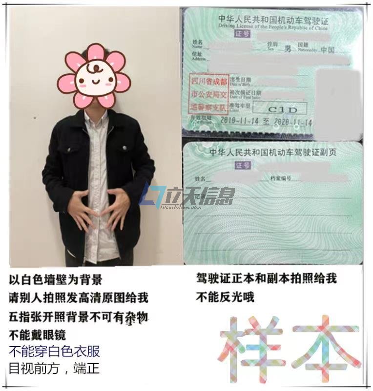 无需回国中国驾驶证更新